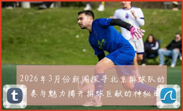 2026年3月份新闻探寻北京排球队的节奏与魅力揭开排球巨献的神秘面纱